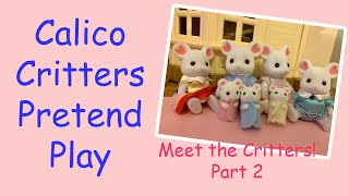 FUN & CUTE Calico Critters and Sylvanian Families Pretend Play Mini Episode Meet the Critters Part 2