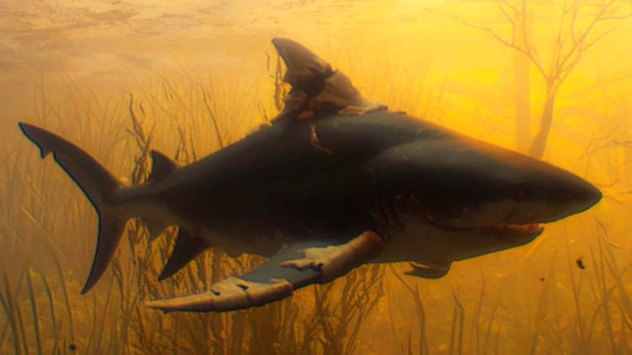 Maneater - Fawtick Bayou - Open World Free Roam Gameplay (PC HD) [1080p60FPS]