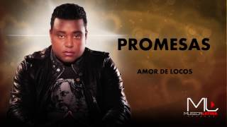 Promesas Bachata - Luis Miguel del Amargue