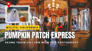π Pumpkin Patch Express on the Skunk Train: Fall Fun & Ghost Dog Shorty πΎ | Willits, CA