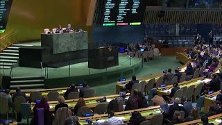 US resolution to condemn activities of Hamas voted down in General Assembly