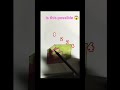 👀 Kitni Seedhiyan Hain? Pura Video Dekho!