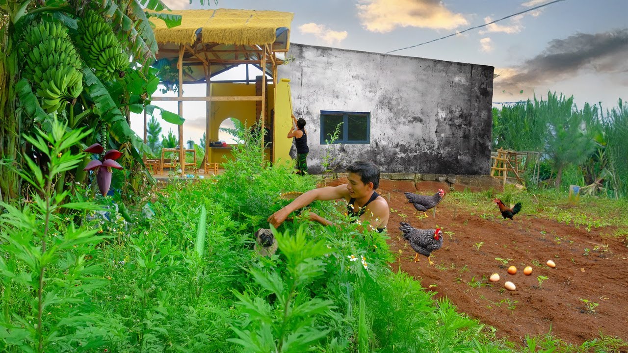 Day 21 of CEO After Leaving the City: Harvesting Mugwort for Cooking, Wall Repair, House Painting.