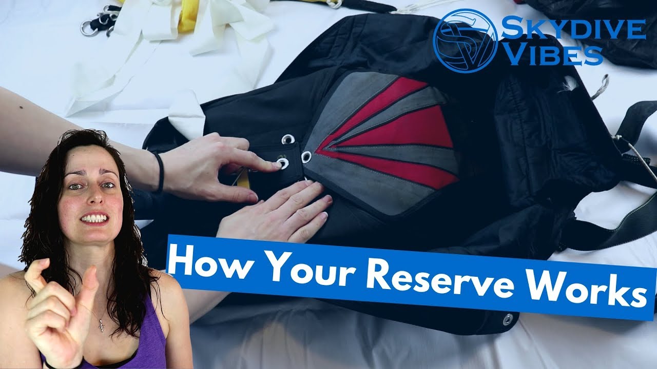 Skydiving Gear What's inside a Skydiving Rig? YouTube