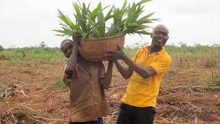 SODEV Intl About the Agriculture Promotion Program 26 7 2021