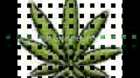 xTheSmokeModders into to youtube