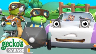 Grandma vs Weasel Race | Go Gecko's Garage! | Gecko's Adventures | Kids Cartoons