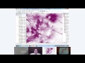 Clase Geomática 2 - Regresión - Daniel Páez - Uniandes