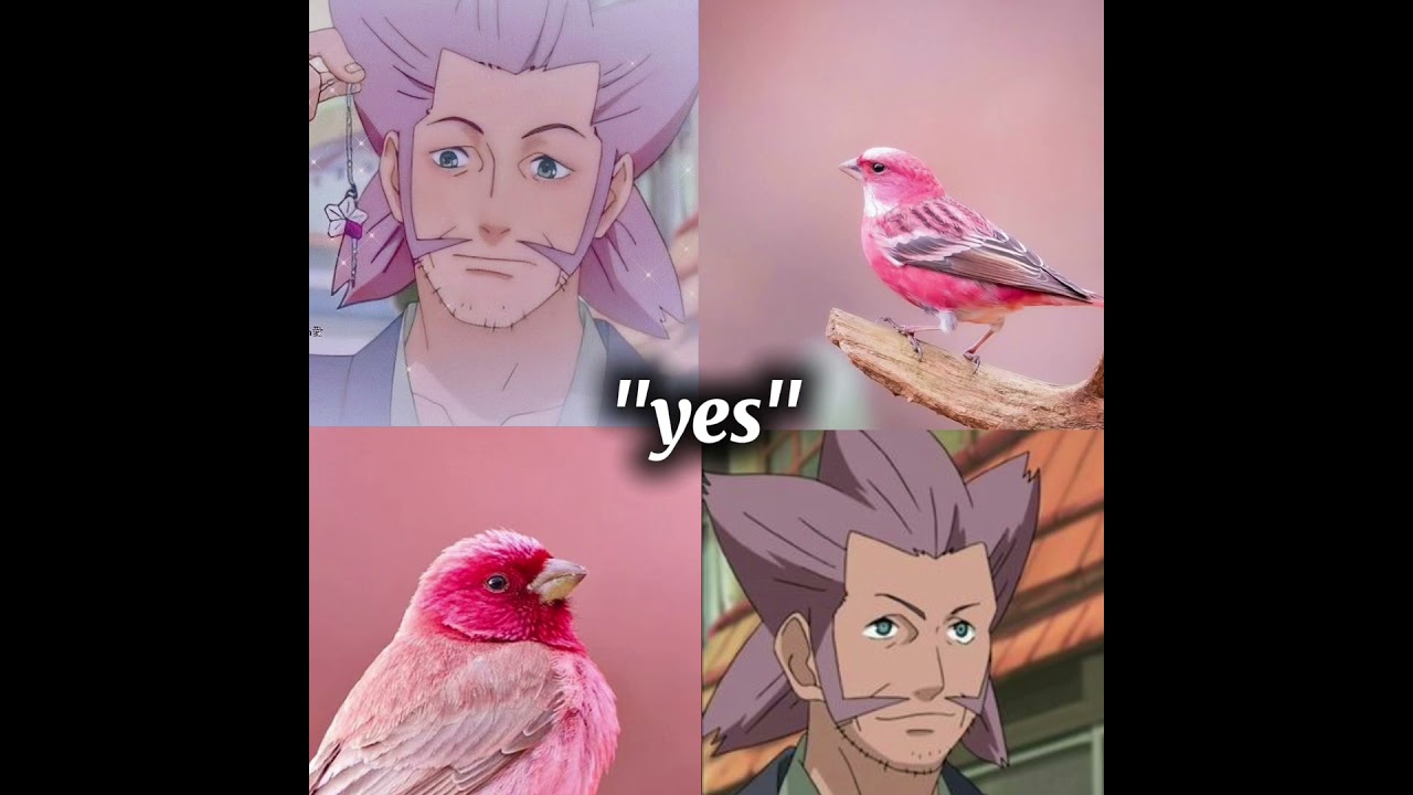 Naruto x Nature 🩶[me gustas tu 🍁] #uchiha #itachi #naruto #viral #youtubeshorts #manuchao