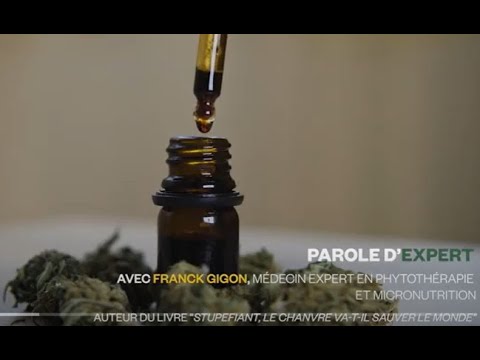 Parole d'expert - Tout savoir sur le CBD