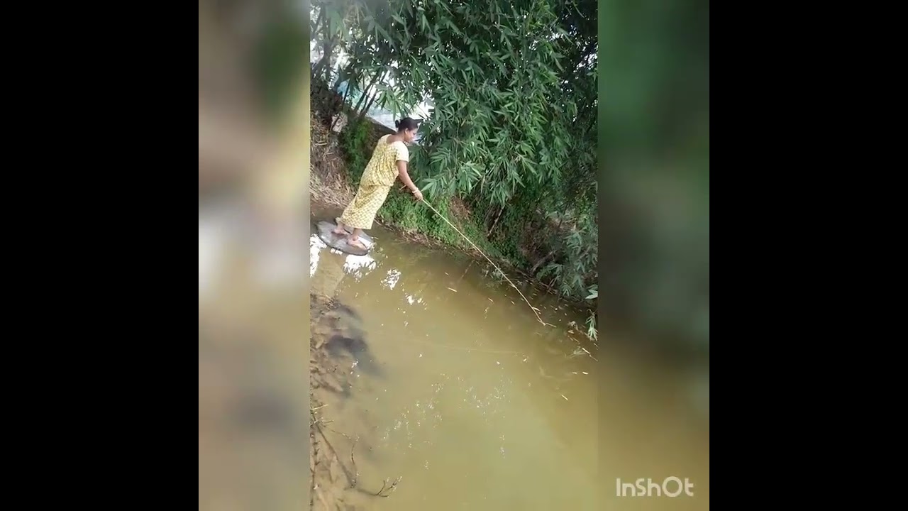 আমাদের পুকুরে ছিপ দিয়ে মাছ ধরলাম 