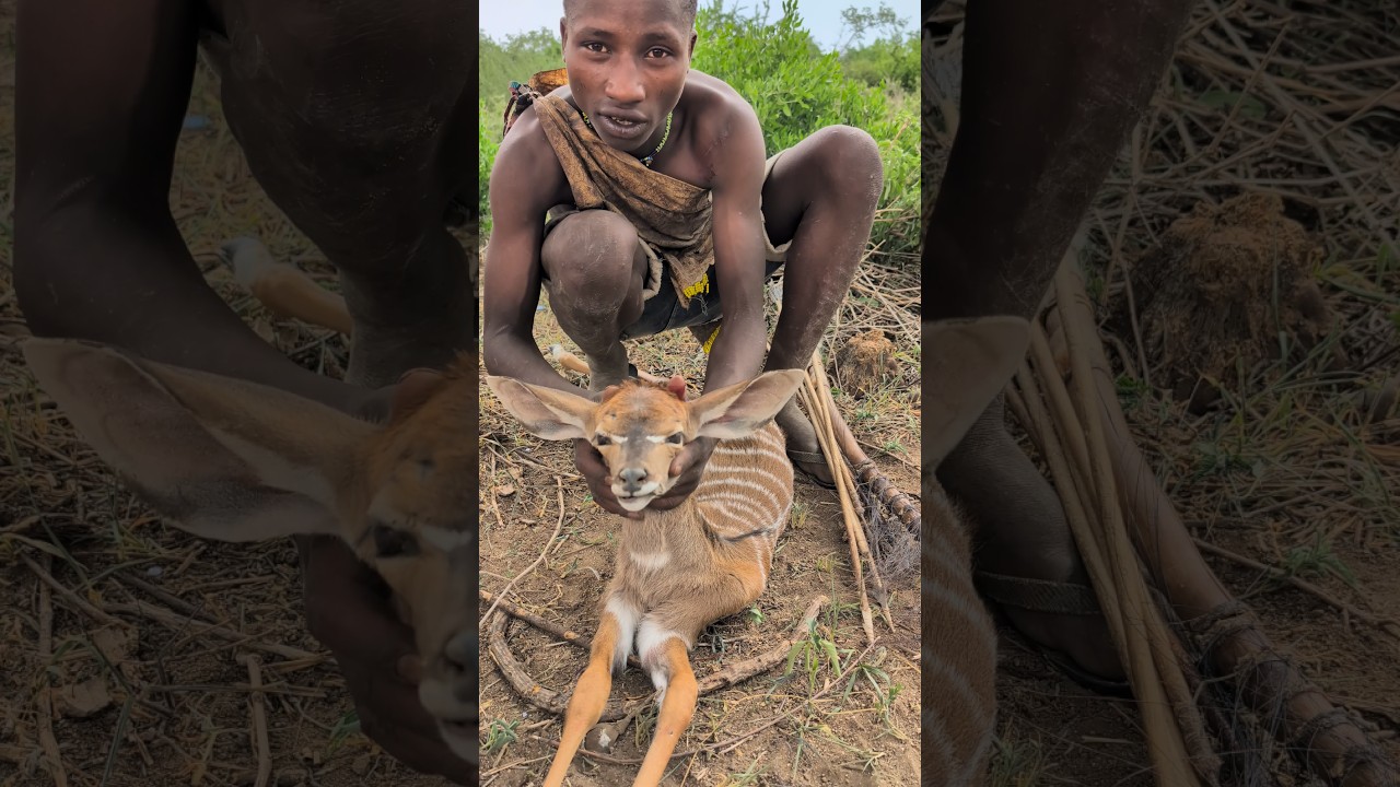 Hadzabe tribe celebrates a successful antelope hunt 