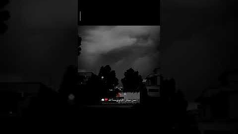 أجمل حالات واتس قرآن كريم| القارئ حمز بوديب.