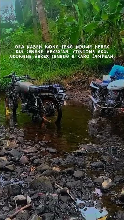 KATA KATA STORY WA #GL_MBAREP #GL_BASUDEWA #herexjatim #herex #herexblitar #blitarraya