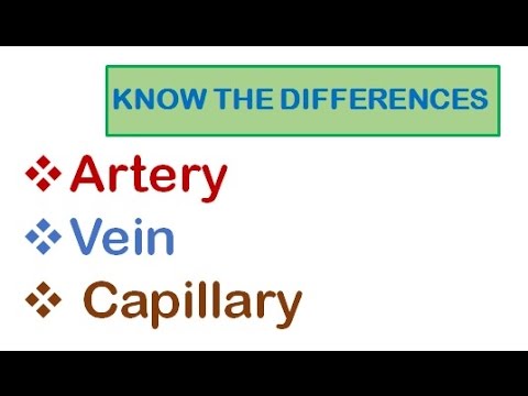 arteries veins and capillaries comparison