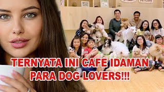 CAFE IDAMAN PARA PECINTA ANJING  Pak Djarot Ternyata Dog Lover Loh!!!