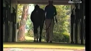 Top 100 U.S. Racehorses of the 20th Century - Part 4