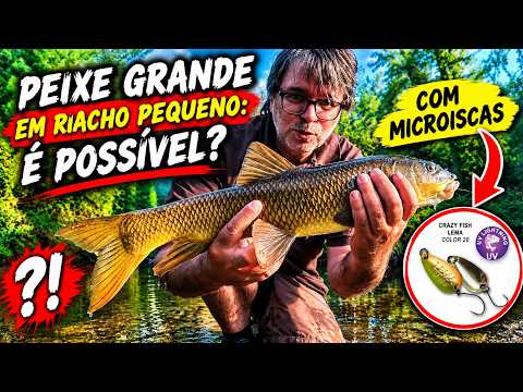 Big Fish in a Small Creek: Is It Possible? (With Micro-Lures)
