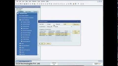 SAP Business One 8.8 - Introducing the New Cockpit