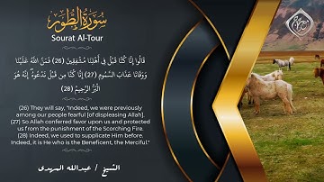 أم لهم إله غير الله ؟!  التلاوة التي أبكت كل من سمعها #إحساس يذيب القلب 😭😭