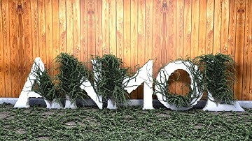 Ivy Plugin Cinema 4d tutorial