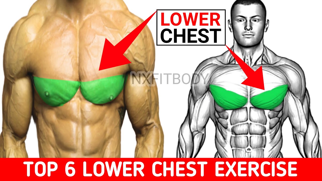 Top 6 Exercise To Build Lower Chest Workout | Lower Chest Workout ...