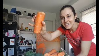 Hungry Harvest Unboxing July 2020 // $10 off your first order! by plasticfreepuffin 40 views 3 years ago 4 minutes, 39 seconds