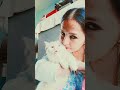 ye mai kya kar Rahi ho #enjoy #cat #cute #love #youtube #hurain