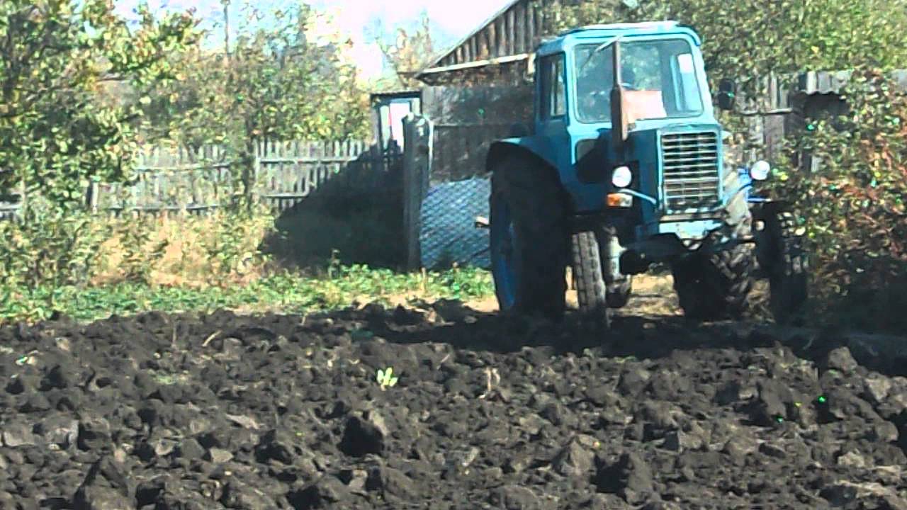 Пахота на мтз. Трактор МТЗ 80 пашет огород. Вспашка огорода трактором МТЗ 80. Трактор МТЗ 80 Поршет огород. МТЗ 80 на пахоте.