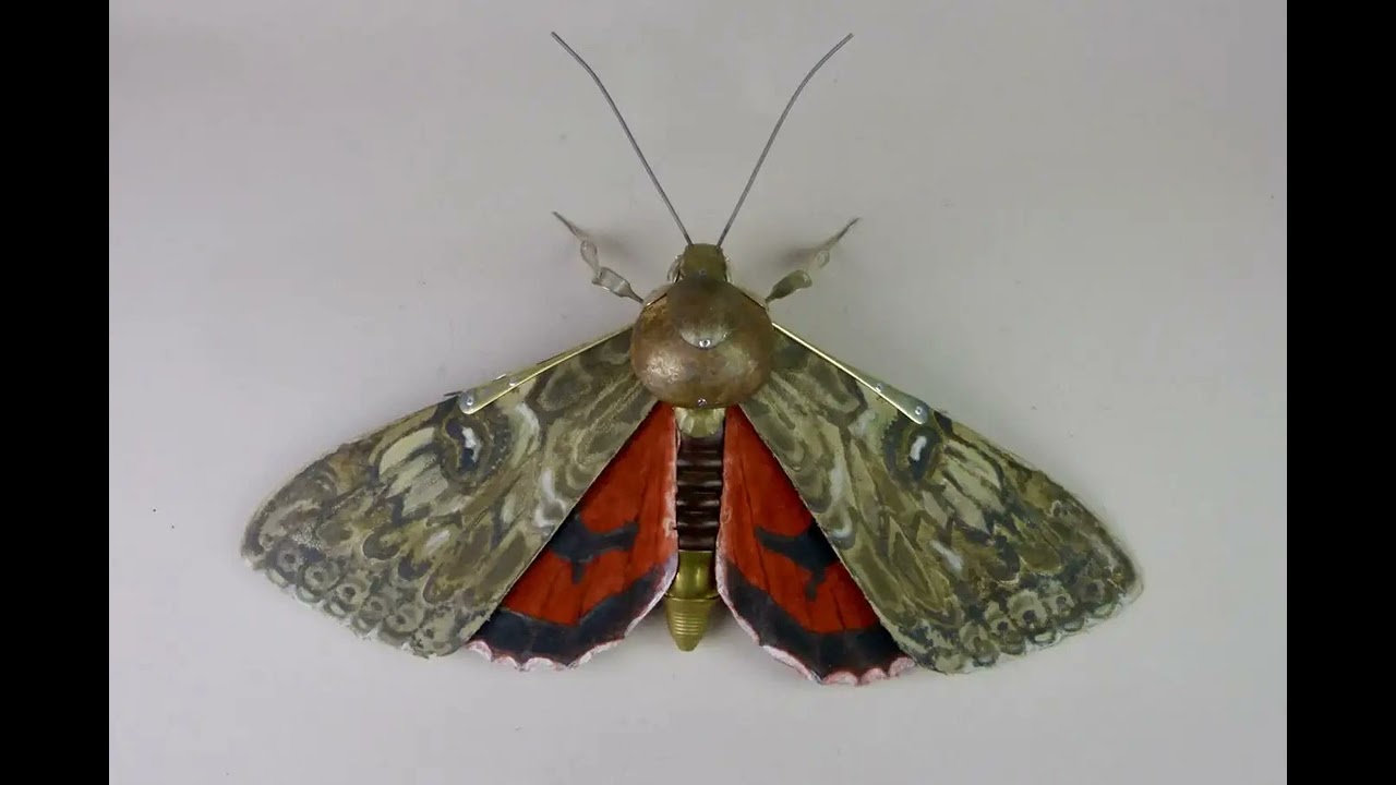 Natural Eye Exhibition: A Celebration of Wildlife Art