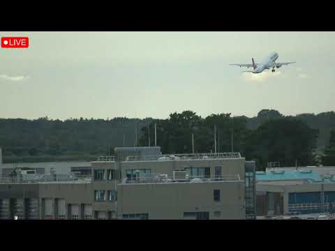 🔴LIVE | After work Planespotting, Hamburg Airport, 15.07.2025✈️