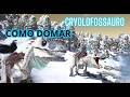 O método mais INOVADOR de domar um CRYOLOFOSSAURO (The Hiru) ARK Additional