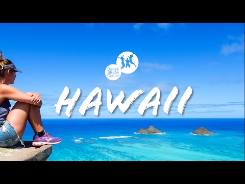 Video: 20 Tegn På At Du Er Hjemme Igen På Hawaii - Matador Network