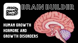 Human Growth Hormone and Growth Disorders | BodyViz Brain Builder