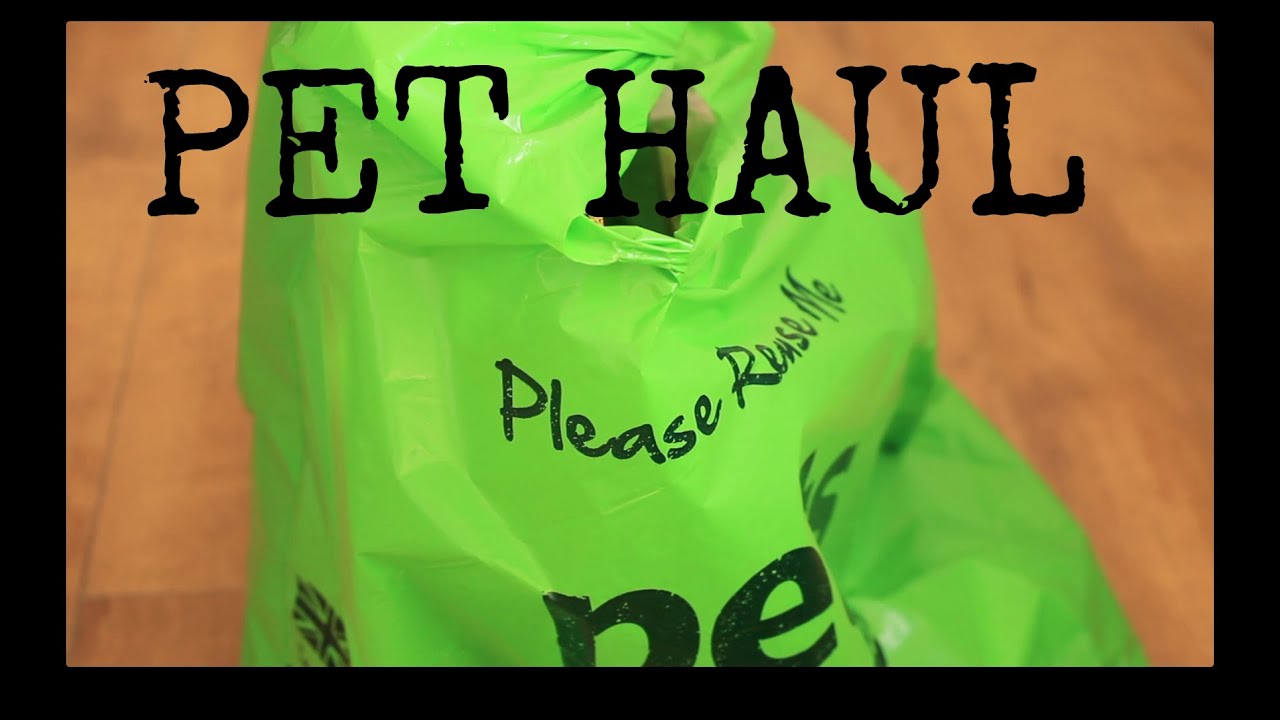 Collective Pet Haul - PETS AT HOME, HB, EBAY, PAMPEREDPIGGIES