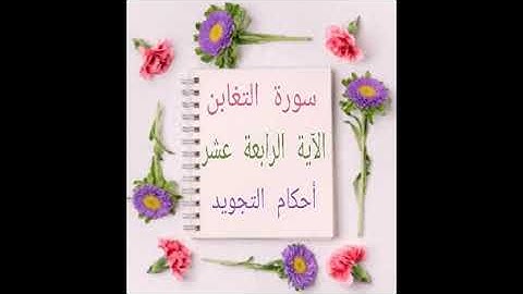 #سورة التغابن#شرح الآنسة ندى #الآية14#قليل دائم خير