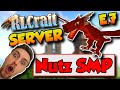 RLCraft 2.9.2 SMP Server *NEW* Day 7 🐉 Nutz SMP Episode 7 (LIVE)
