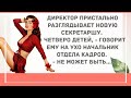 Новая секретарша. Сборник Веселых Анекдотов для Настроения! Смешные анекдоты!