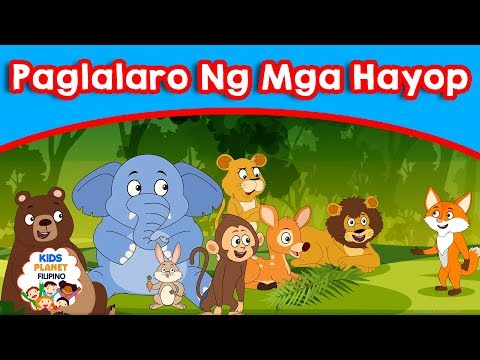 Video: Lahat Tungkol Sa Kangaroo Bilang Isang Hayop