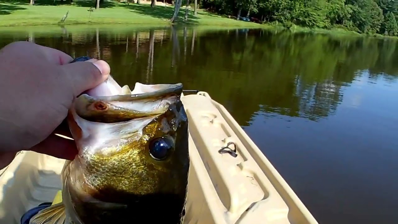 July Top Water Bass Fishing in East Texas