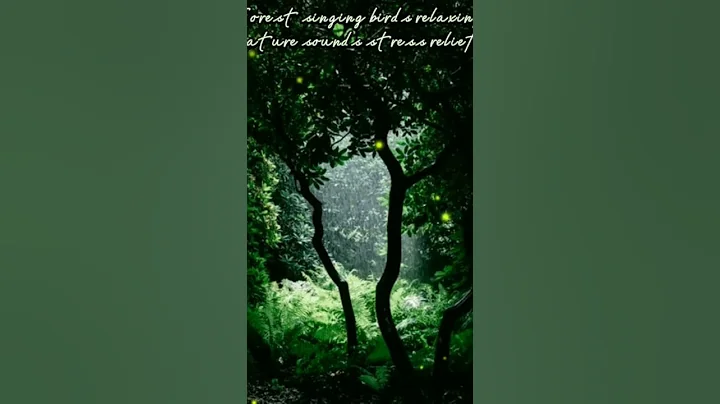 #Forest #singing #birds #relaxing #nature #sounds ...