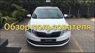 Skoda Octavia 2019 обзор от пользователя-плюсы, минусы/Skoda Octavia 2019 review, is it good? :)