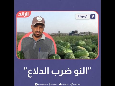 "النو ضرب الدلاع " #ليبيا