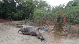 Download lagu Ek Jagah Par Janver Ko Jinnat Na Mar Dia Jinnat Ki Basti Ek Jagah Par Janver Ko Jinnat Na Mar Dia Jinnat Ki Basti
