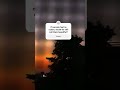 what do you think? #nature #sunsetview #youtubeshorts #foryoupage #sun