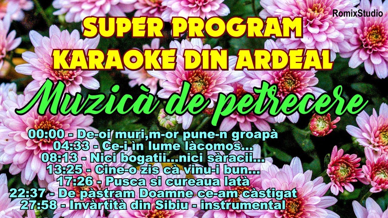 2024 🌟 COLAJ KARAOKE🔥Ardeal ▶️ Muzica pentru petreceri, distractie si voie buna ✅ NEGATIVE | VERSURI