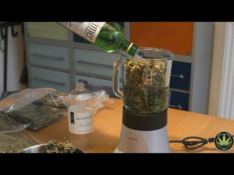 CANNABIS ÓLEO - COMO FAZER ÓLEO MACONHA