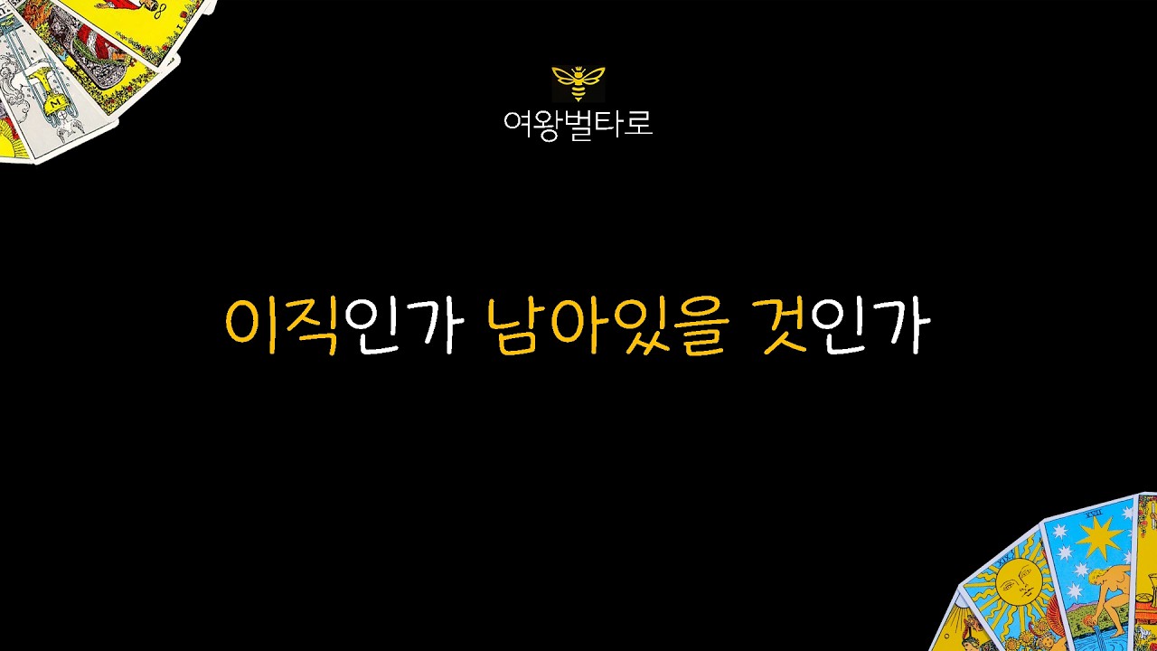 [여왕벌 타로]  '이직인가 남아있을 것인가' 고민하는 당신에게