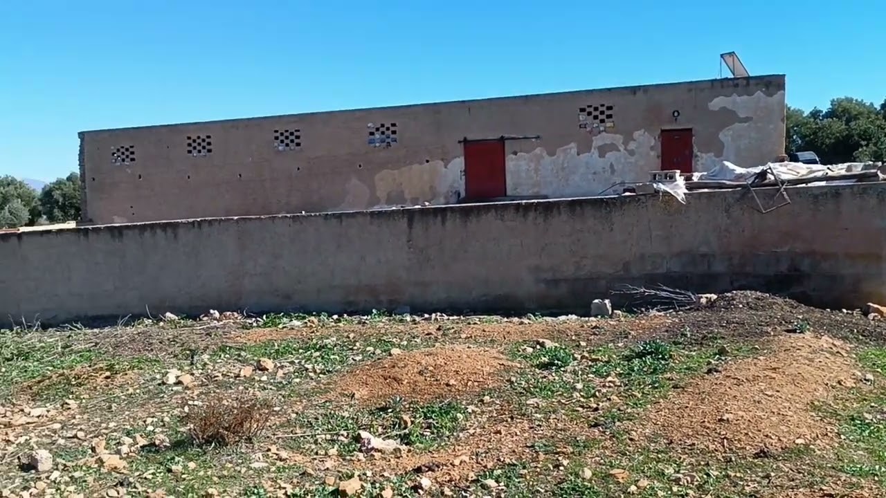 أرض للبيع إقليم صفرو على ساقية زيتون كوري سكنى