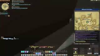 FFXIV Graphical Bugs V.1